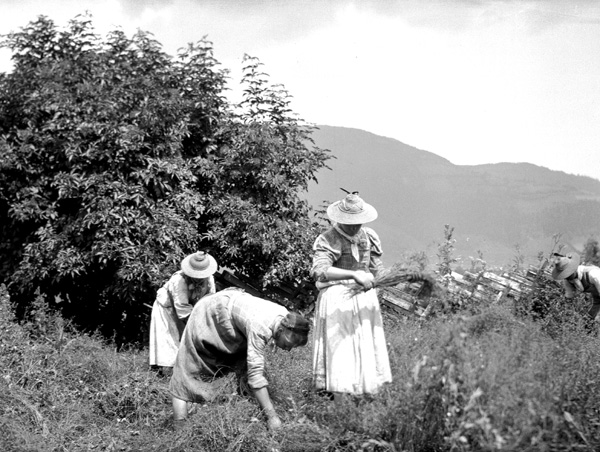 Agricultural workers- Germany