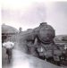Steam locomotive 60060 at Darlington
